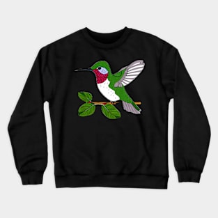 Hummingbird: Beautiful, Bright, & Colorful  | Crewneck Sweatshirt